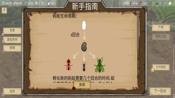 最后的蚂蚁