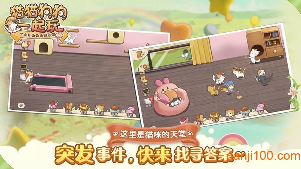 猫猫狗狗一起玩无限宠物币