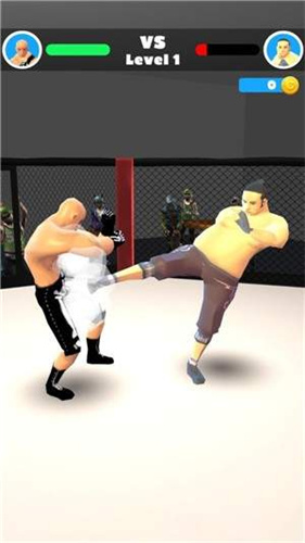 MMA格斗(图2) MMA格斗(图2)