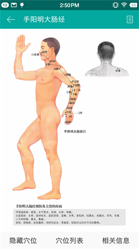 大中医app