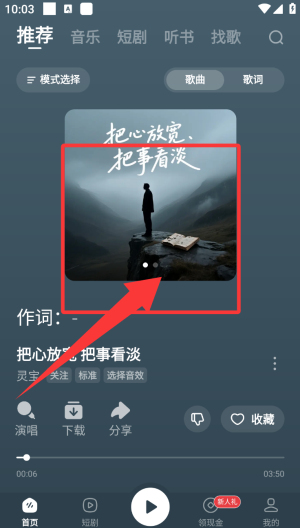 番茄音乐截图