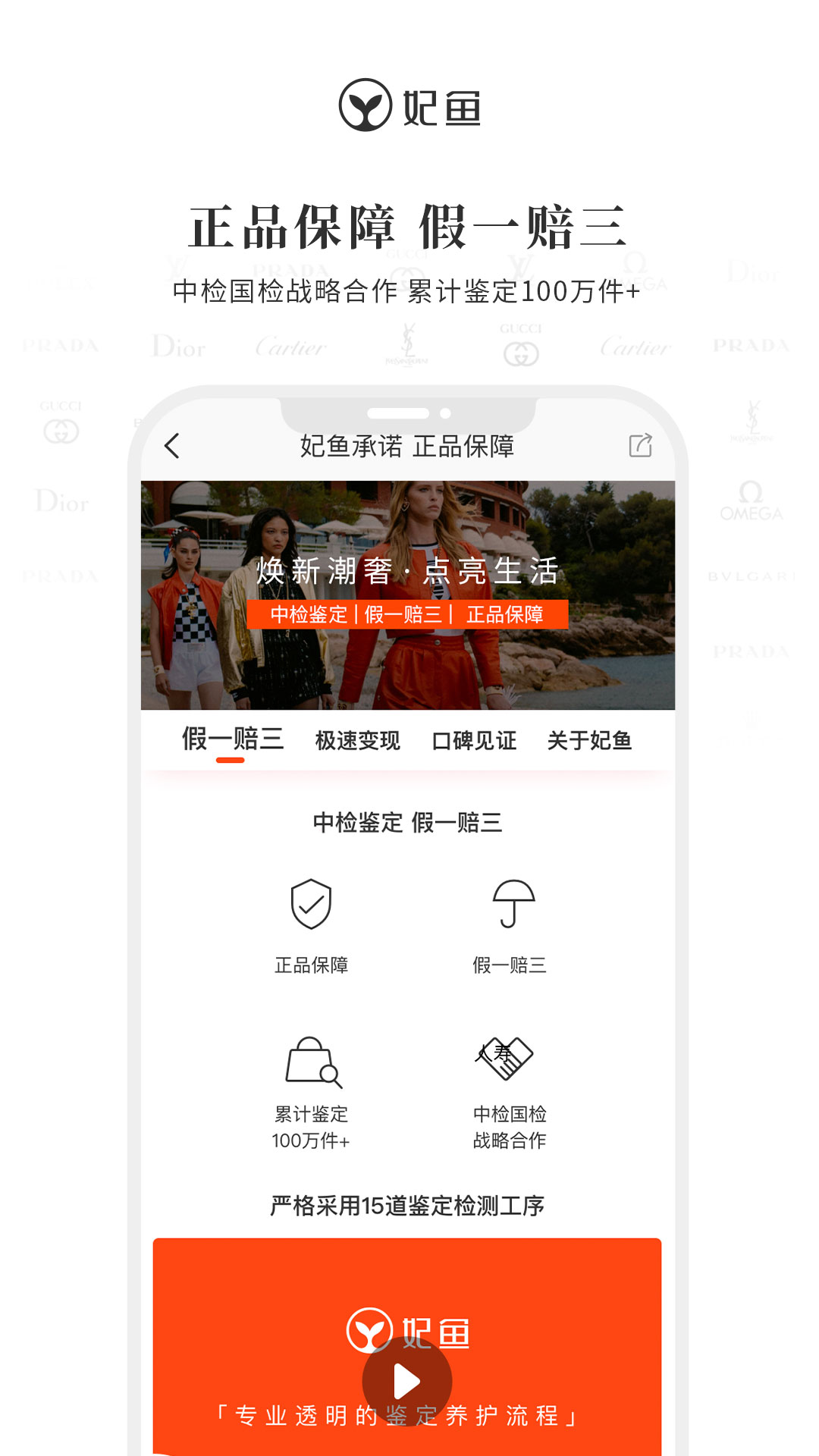 妃鱼 妃鱼(图2)