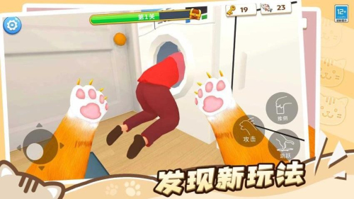 猫咪养成计划官网最新版