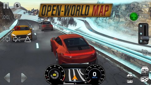 真实驾驶模拟(Real Driving Sim)