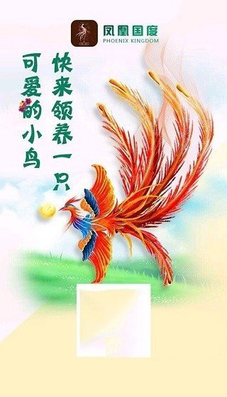 凤凰国度