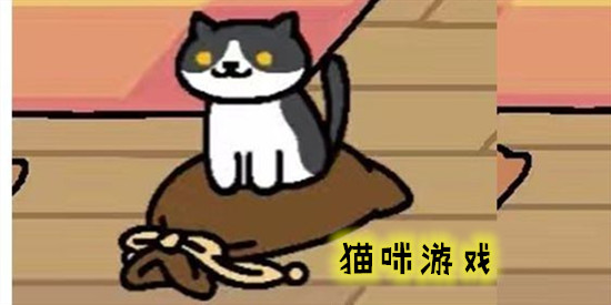 猫咪游戏