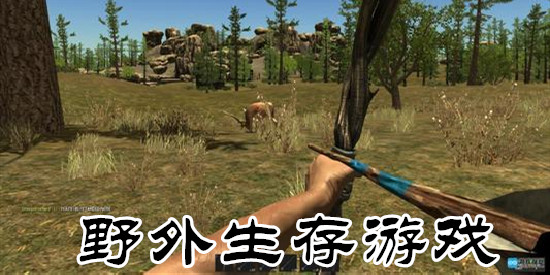 野外生存游戏