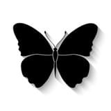 无辜之人(Innocent)