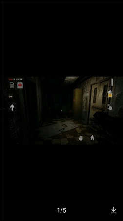 752号精神病人(Number752Demo)