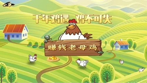赚钱老母鸡