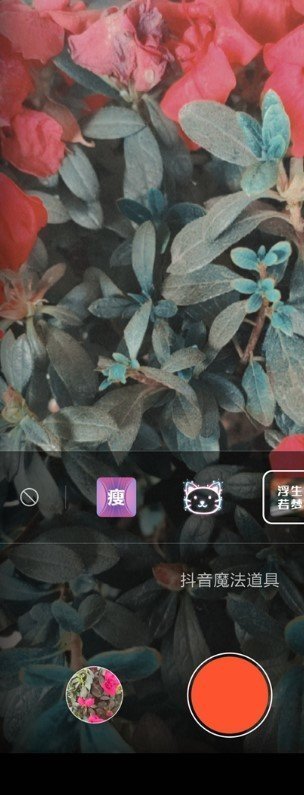 红米Note8 MIUI11刷机包