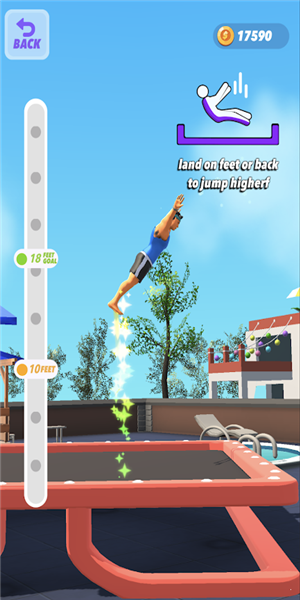 翻转胜利者(Flip Kings)