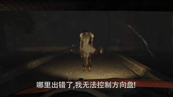 恐怖的精神病人(The Fear)