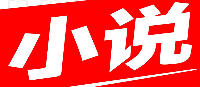 无广告可换源的小说阅读器