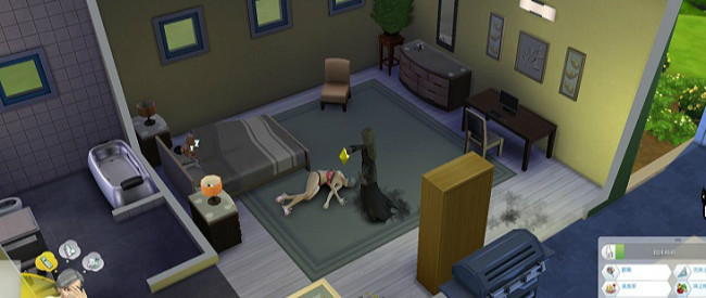 高自由度的模拟游戏