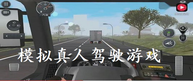 模拟真人驾驶游戏