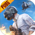 Pubg国际服地铁逃生修改器（安卓版）