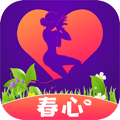 春心交友