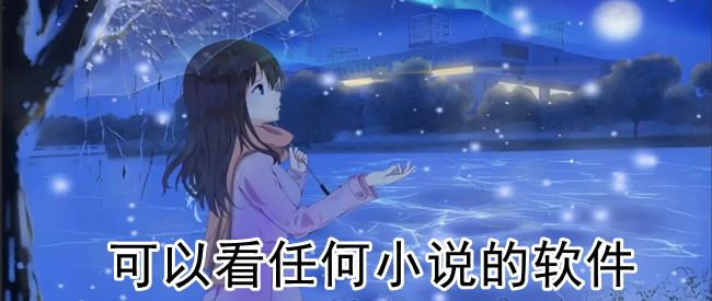 可以看任何小说的软件