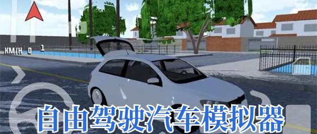 自由驾驶汽车模拟器