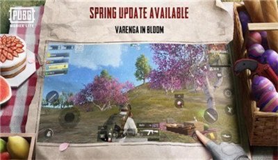 pubg地铁逃生画质助手120帧