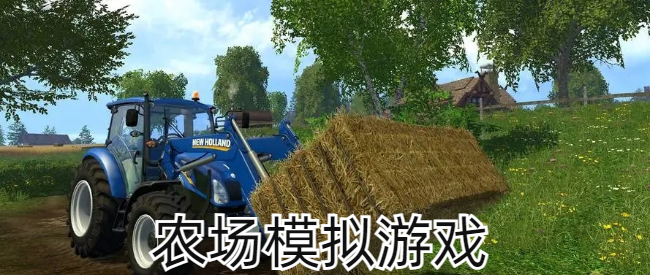 农场模拟游戏