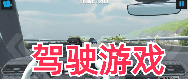 自由驾驶汽车模拟器