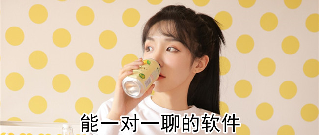 能一对一聊的软件