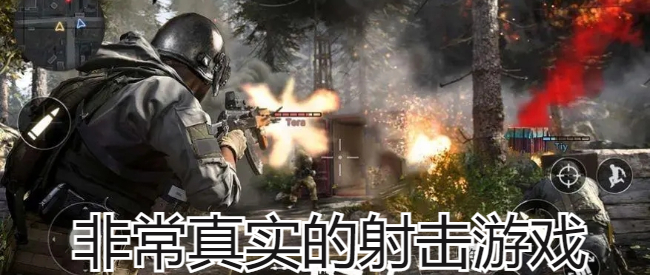 非常真实的射击游戏