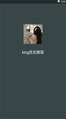 king优化框架