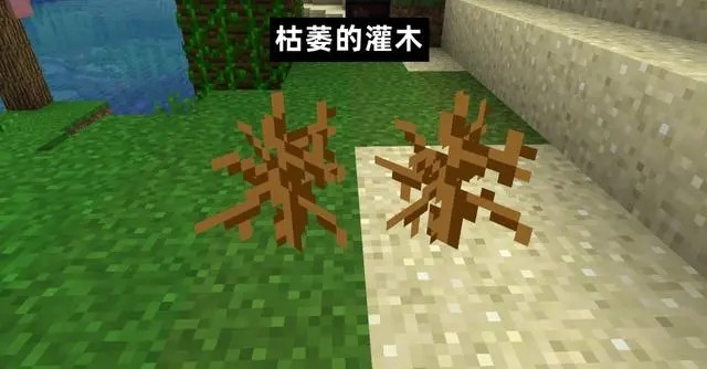 我的世界1.20.1基岩版