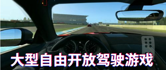 大型自由开放驾驶游戏
