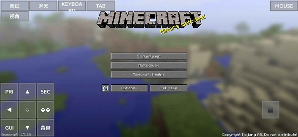 minecraftjava版