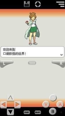 口袋妖怪白2中文版