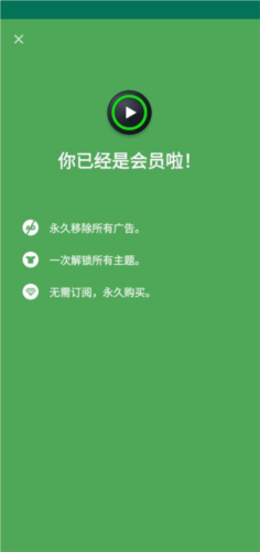 XPlayer专业版