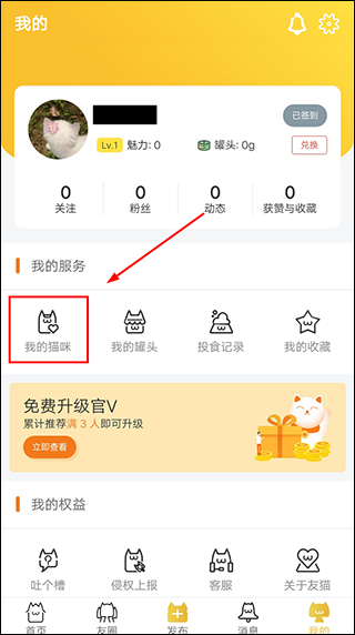 友猫(图1) 友猫(图1)