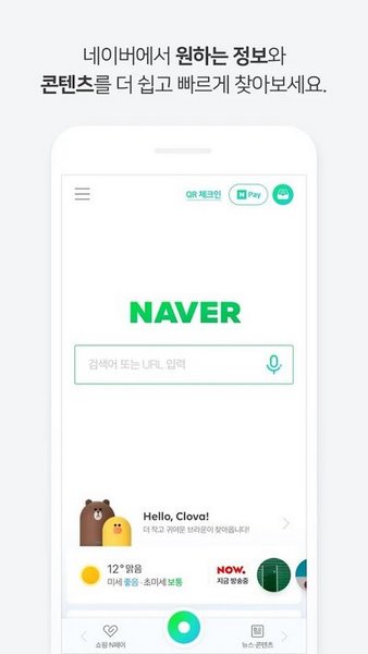 NAVER