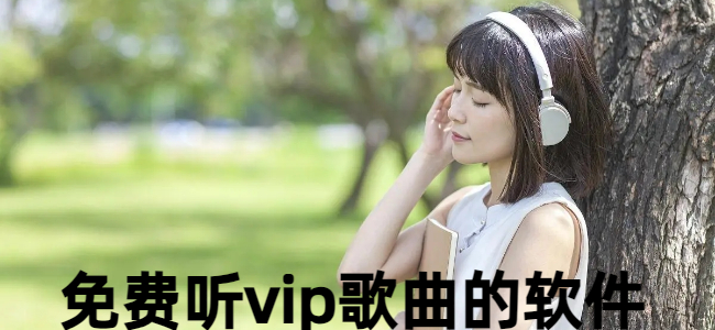 免费听vip歌曲的软件