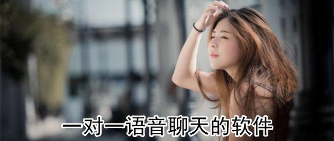 一对一语音聊天的软件