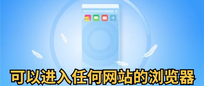 可以进入任何网站的浏览器