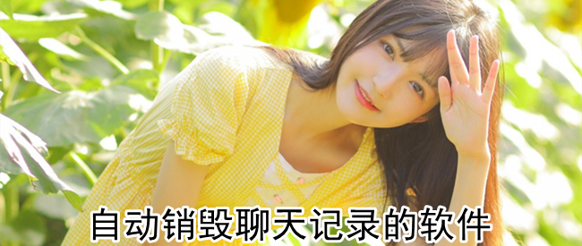 自动销毁聊天记录的软件