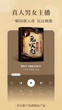 番茄小说会员版