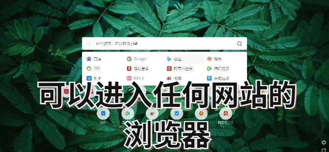 可以进入任何网站的浏览器