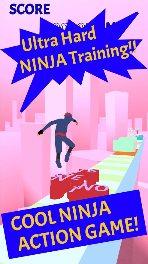 超忍者跑步(Ultra Ninja Running)