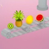 水果分選機(Fruit Sorter)