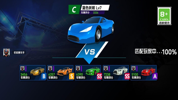 極限車輛駕駛模擬