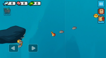 捕捉和喂養