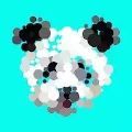 不要杀了熊猫(Don‘t Kill Panda)