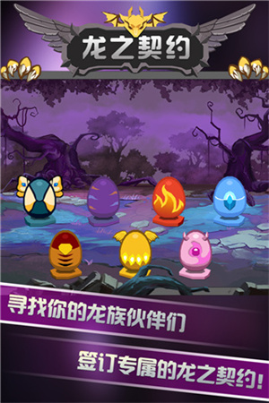龍之契約破解版