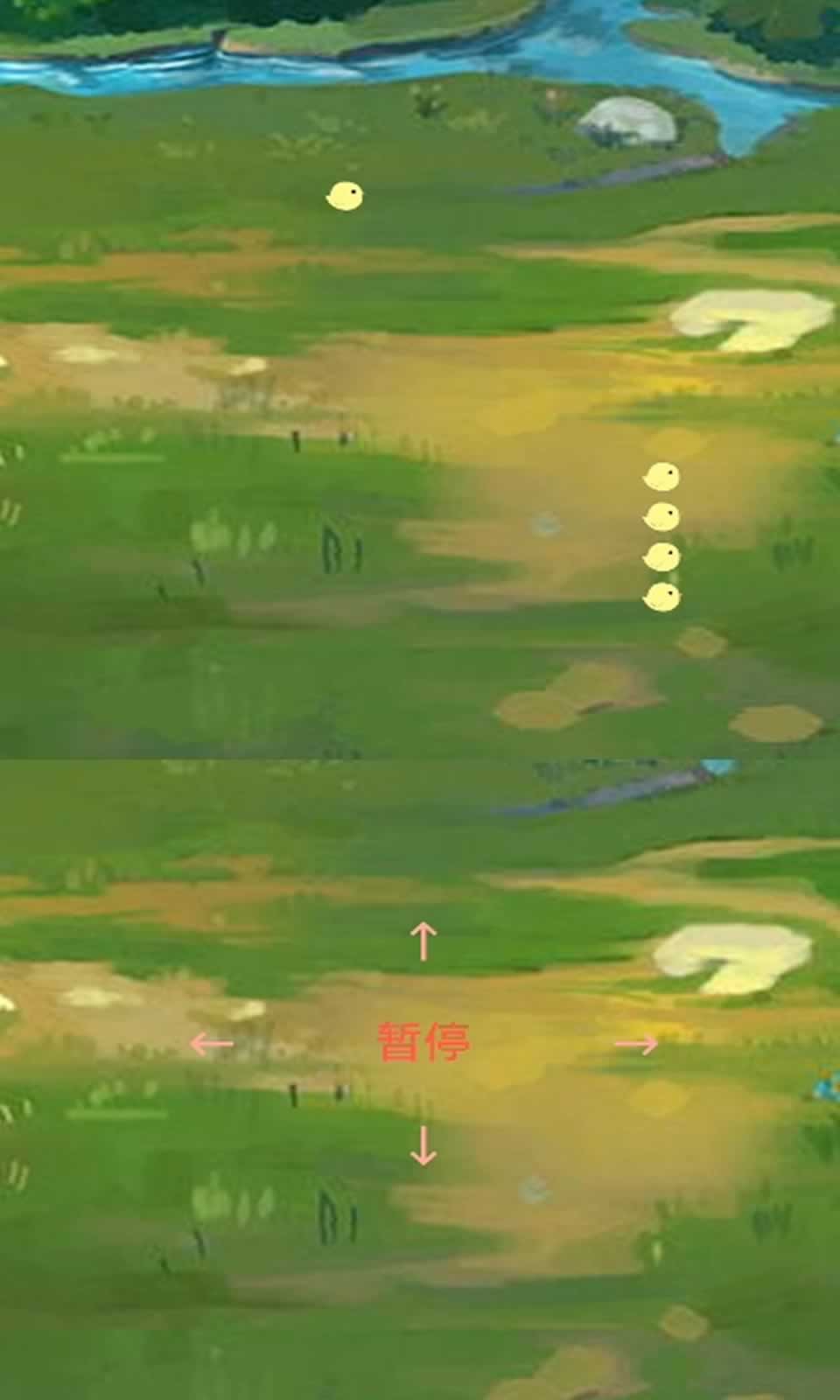 小雞回家